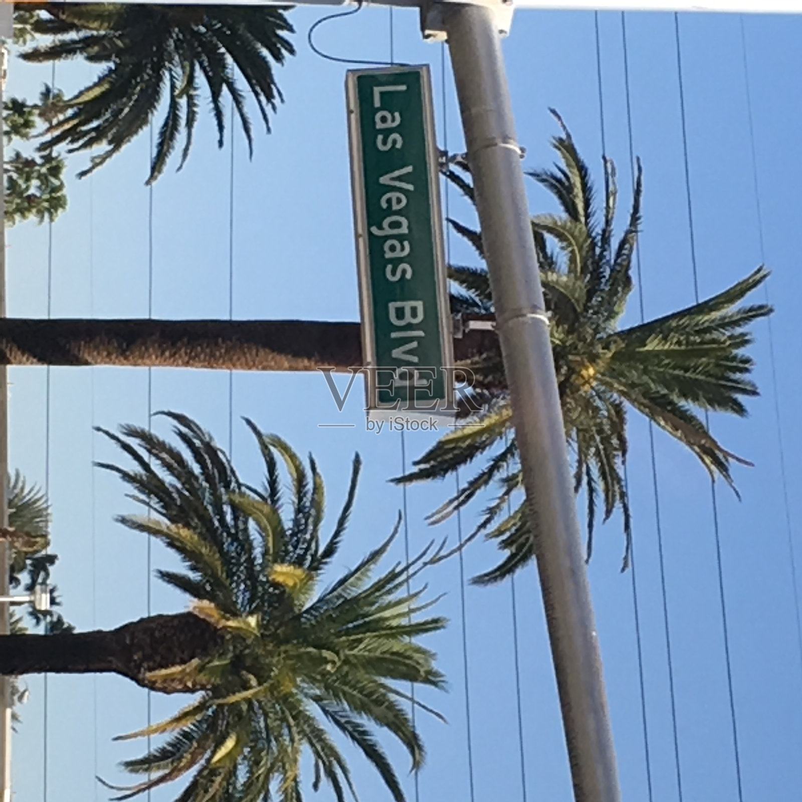 拉斯维加斯大道照片摄影图片