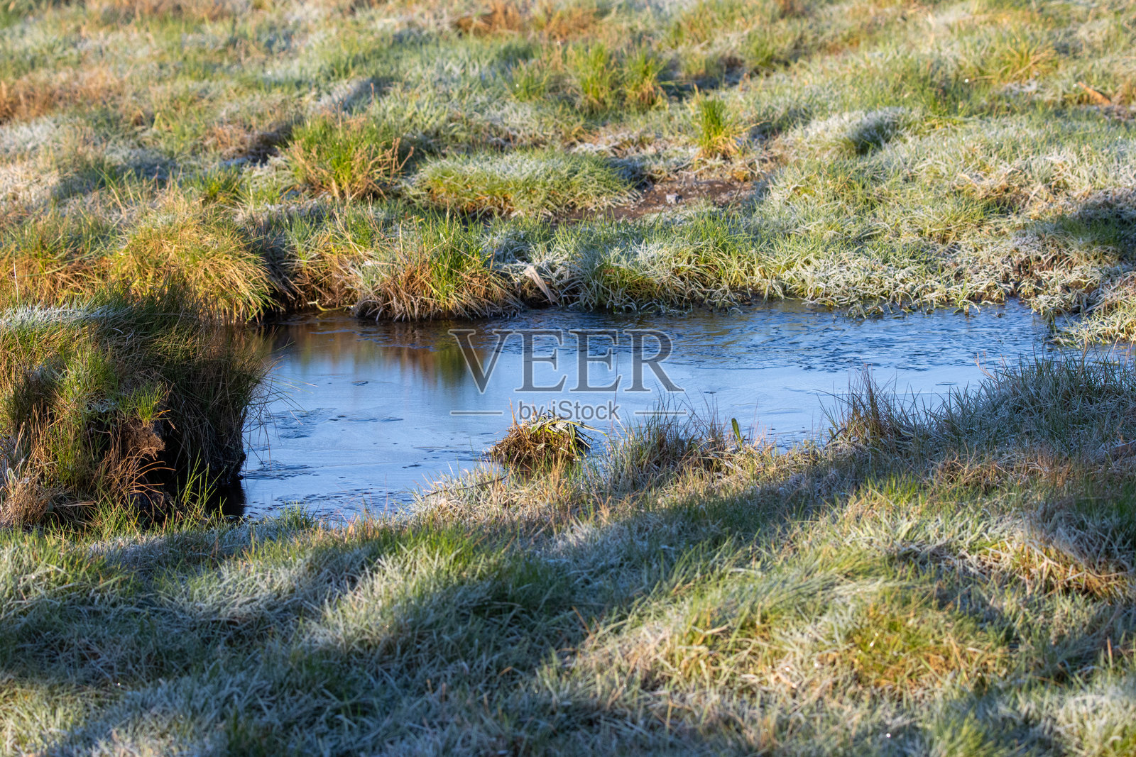冬季的冰冻沼泽地和水面，光影交错照片摄影图片