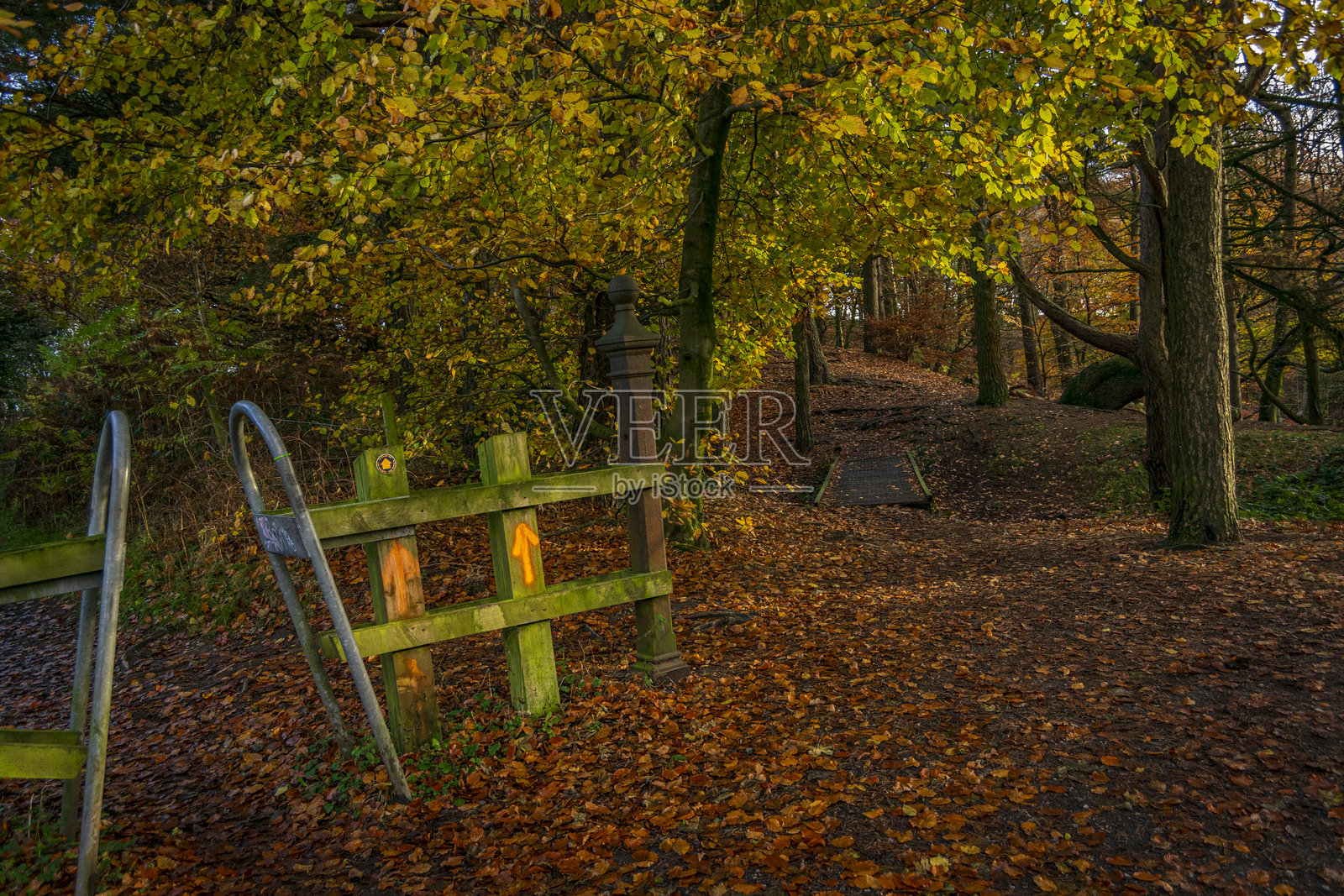 坦德山乡村公园的秋天最后色彩照片摄影图片
