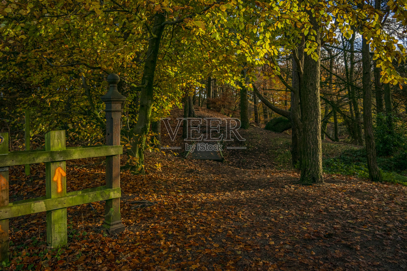 坦德山乡村公园的秋季最后色彩照片摄影图片