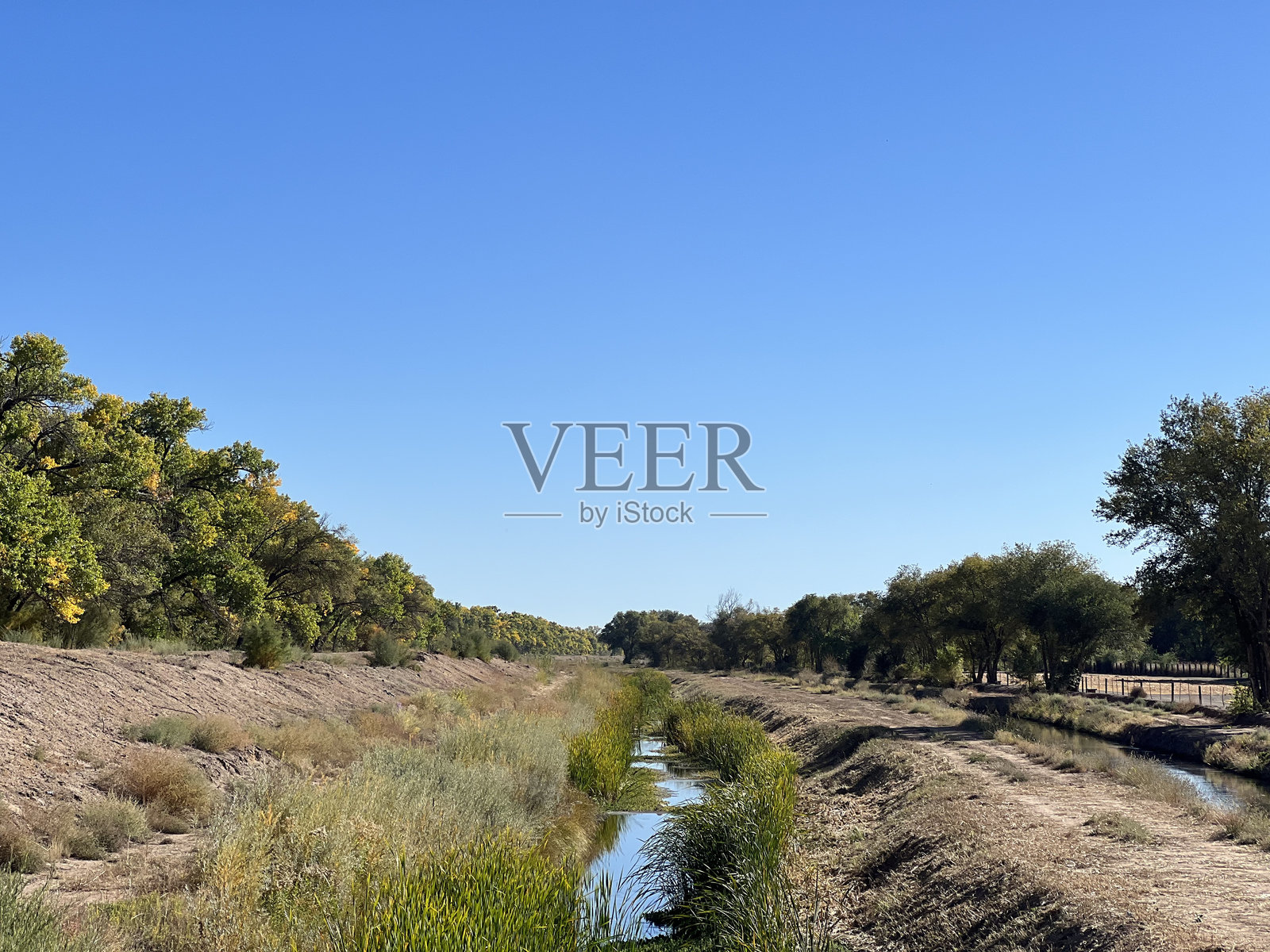 宁静的河流风景与树木照片摄影图片