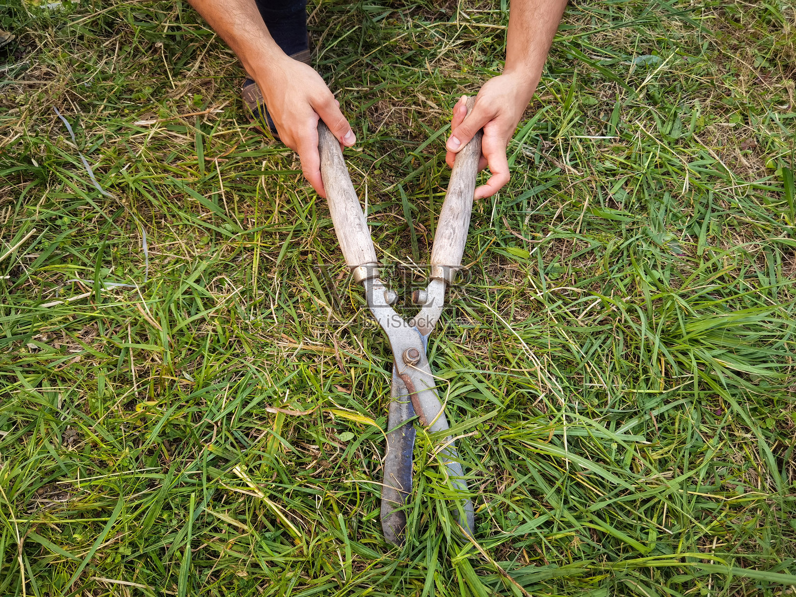 园丁在修剪草坪照片摄影图片