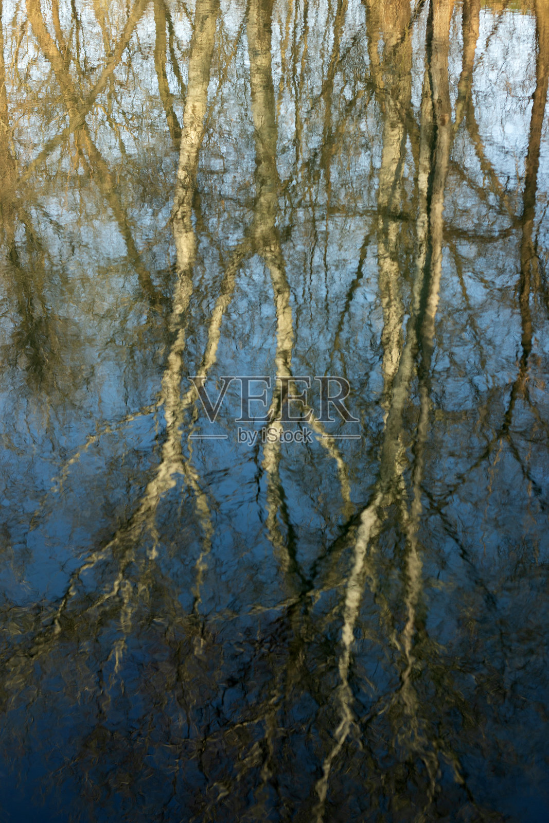 一片有树木和蓝天背景的田野照片摄影图片