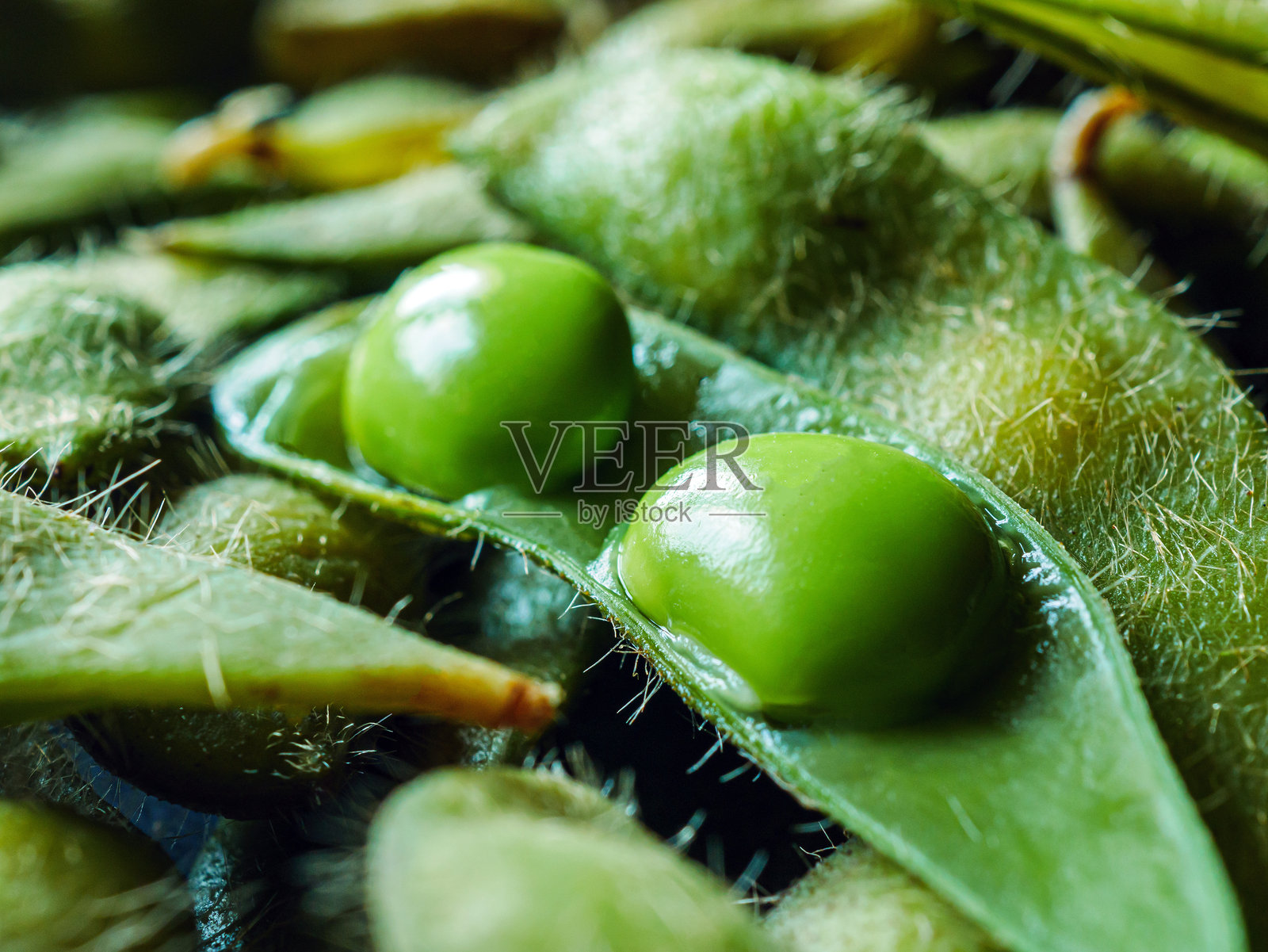 煮熟的绿豆荚特写，许多新鲜的绿豆荚作为背景，俯视图照片摄影图片