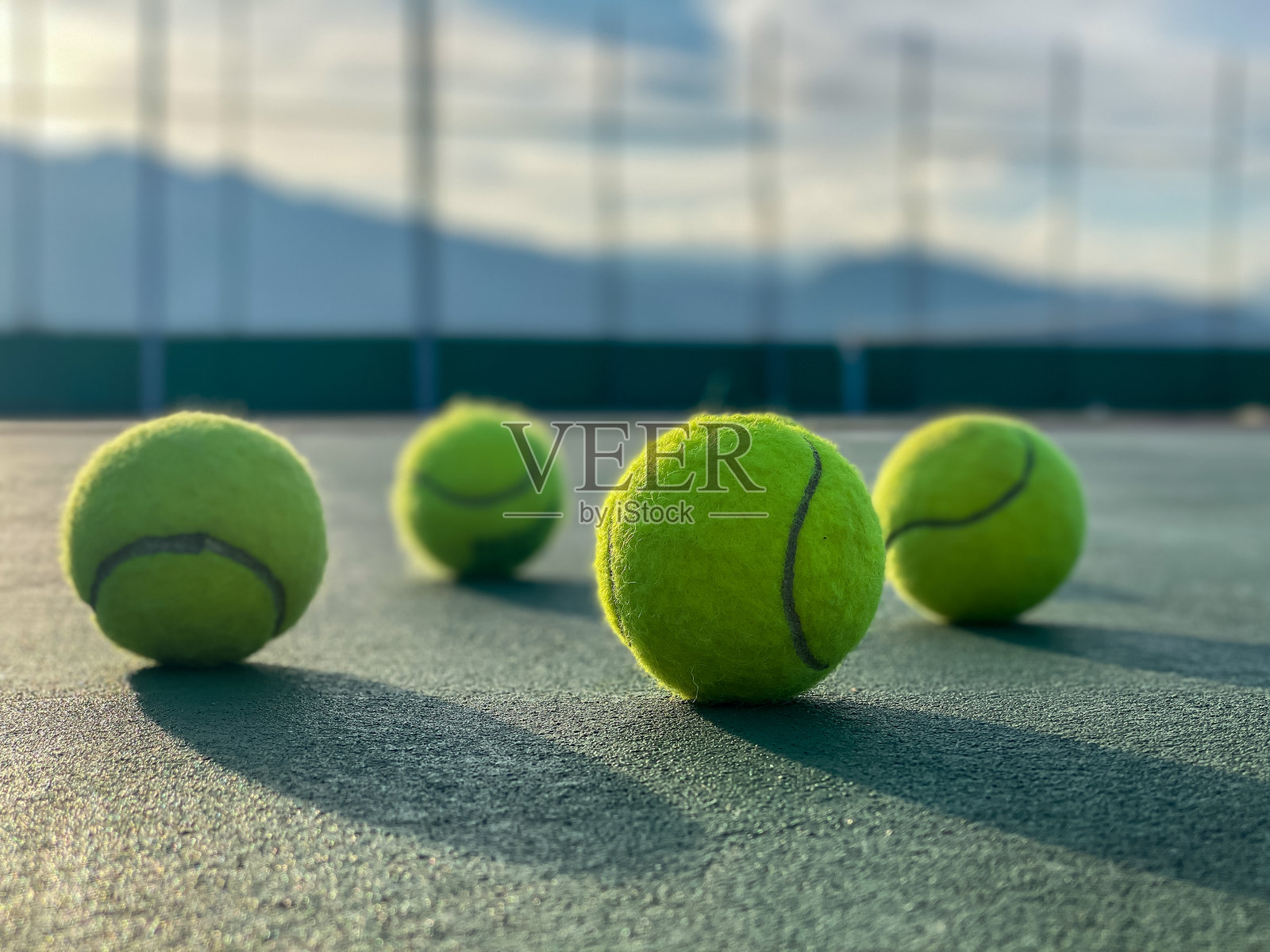 网球的肖像照片摄影图片