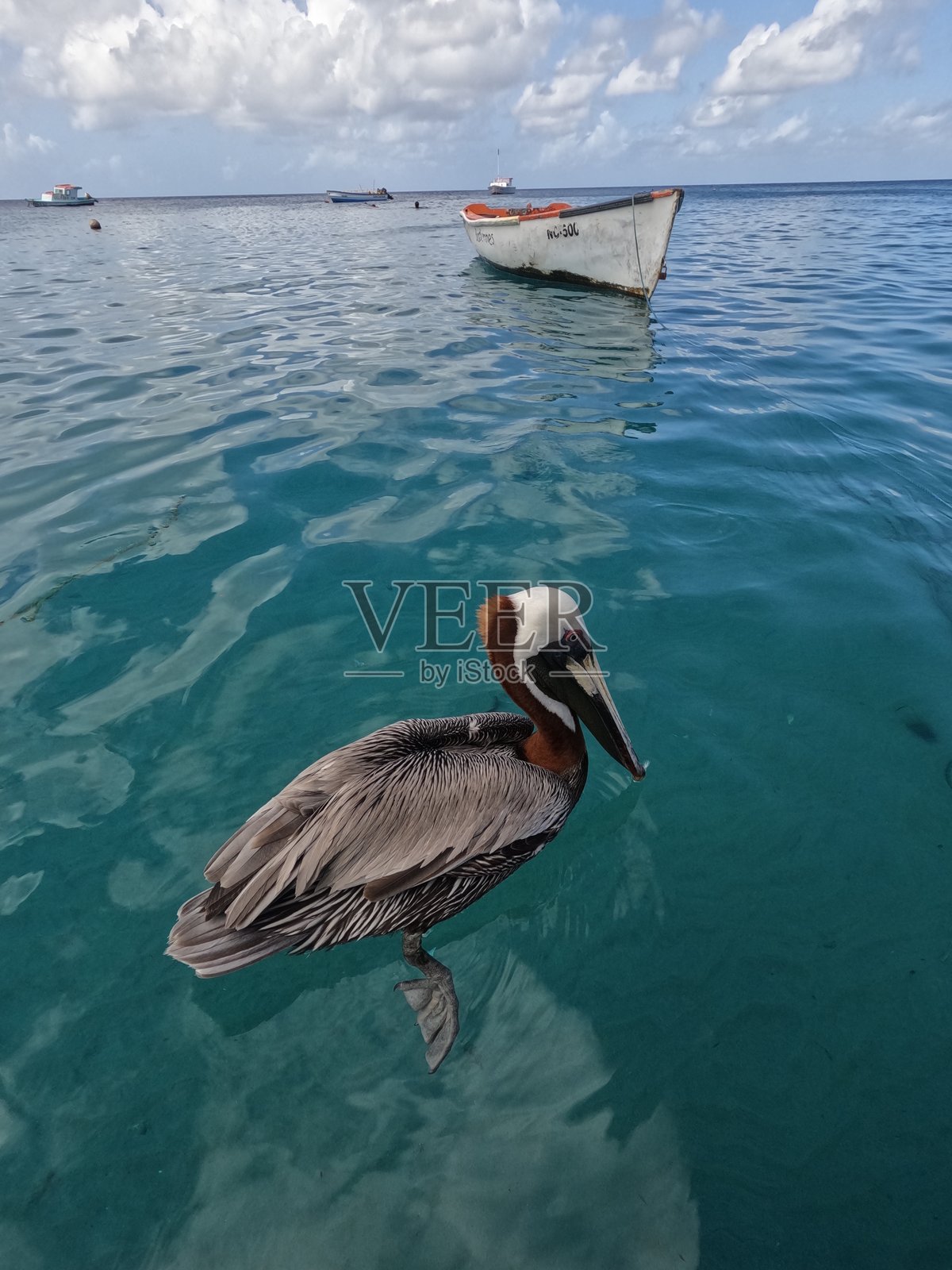 库拉索照片摄影图片