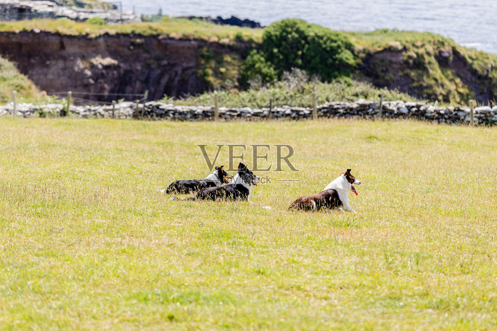 爱尔兰照片摄影图片