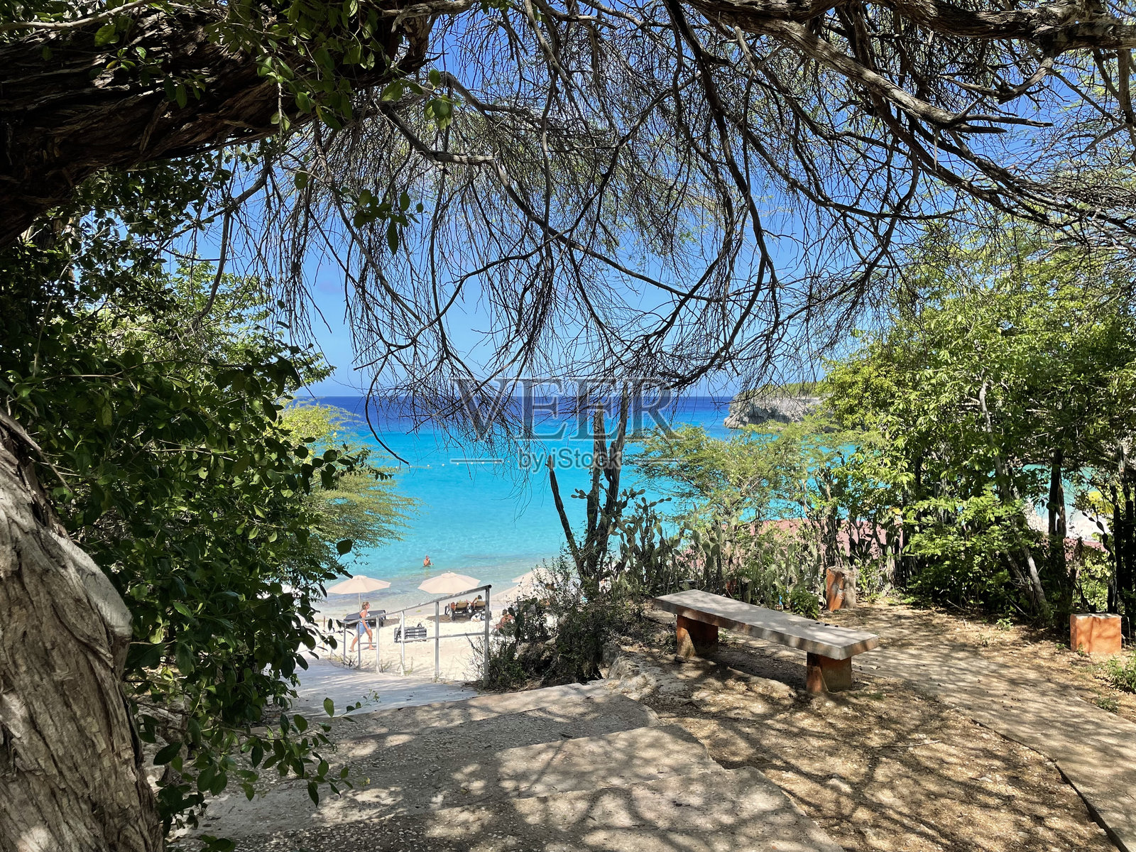 库拉索照片摄影图片