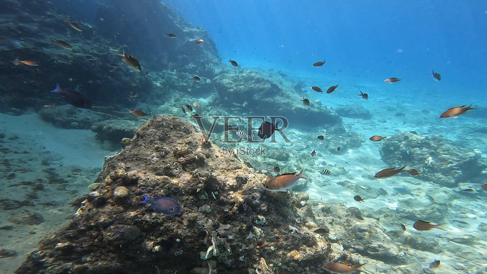 库拉索照片摄影图片