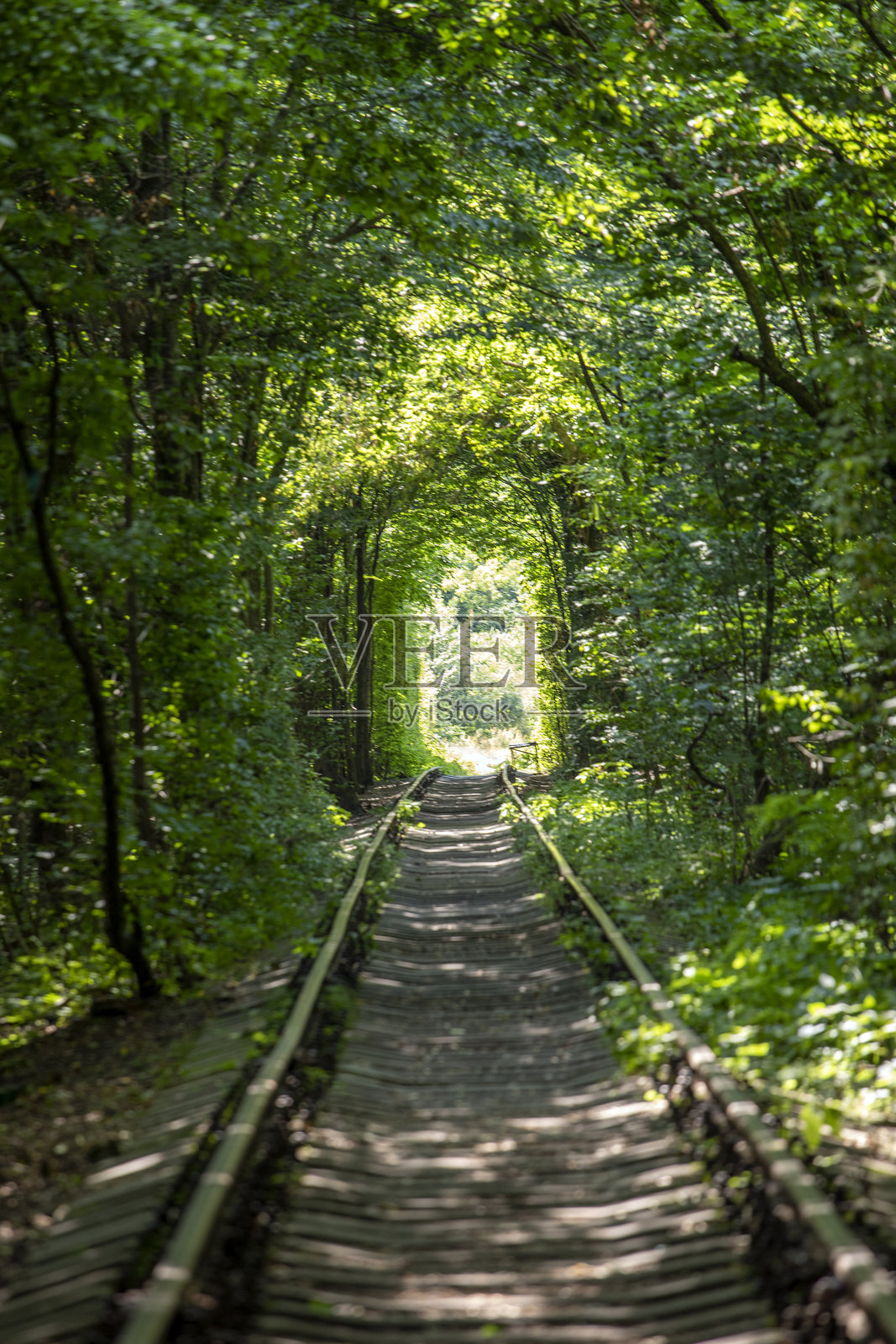 绿树编织的隧道覆盖在铁路轨道上。自然与生态的奇迹。照片摄影图片