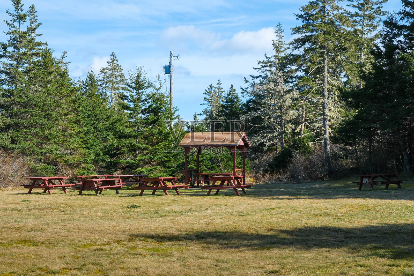 加拿大自然保护区的野餐和休息凉亭照片摄影图片