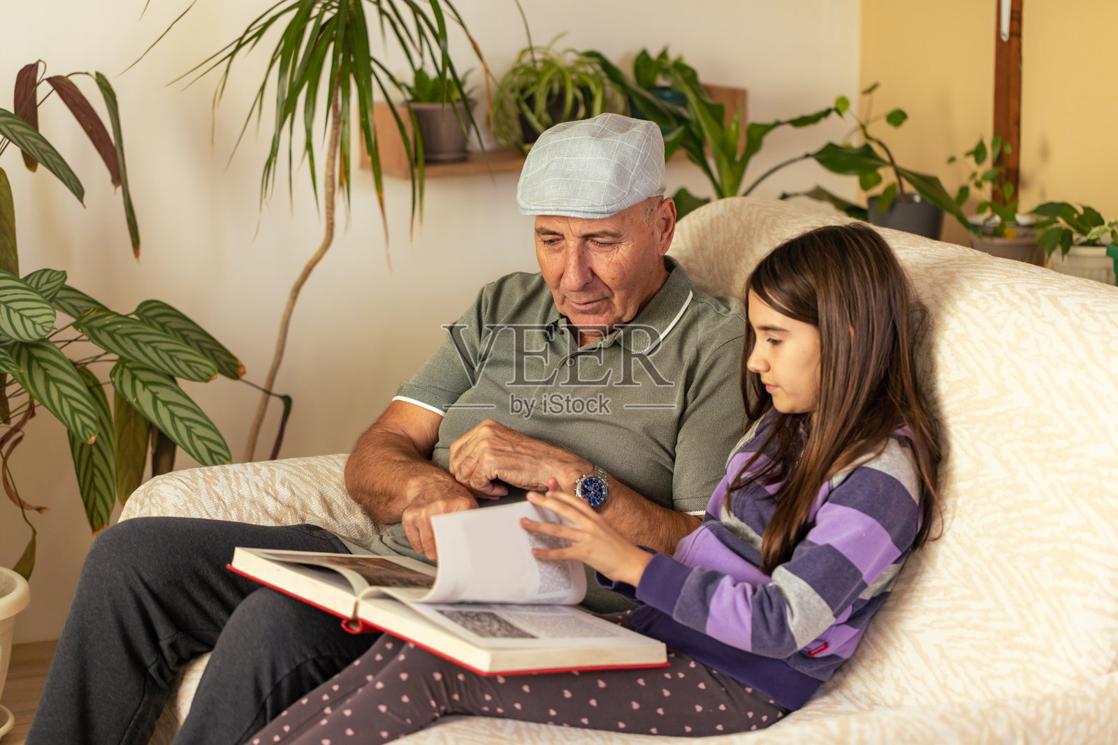 自然生活方式照片摄影图片