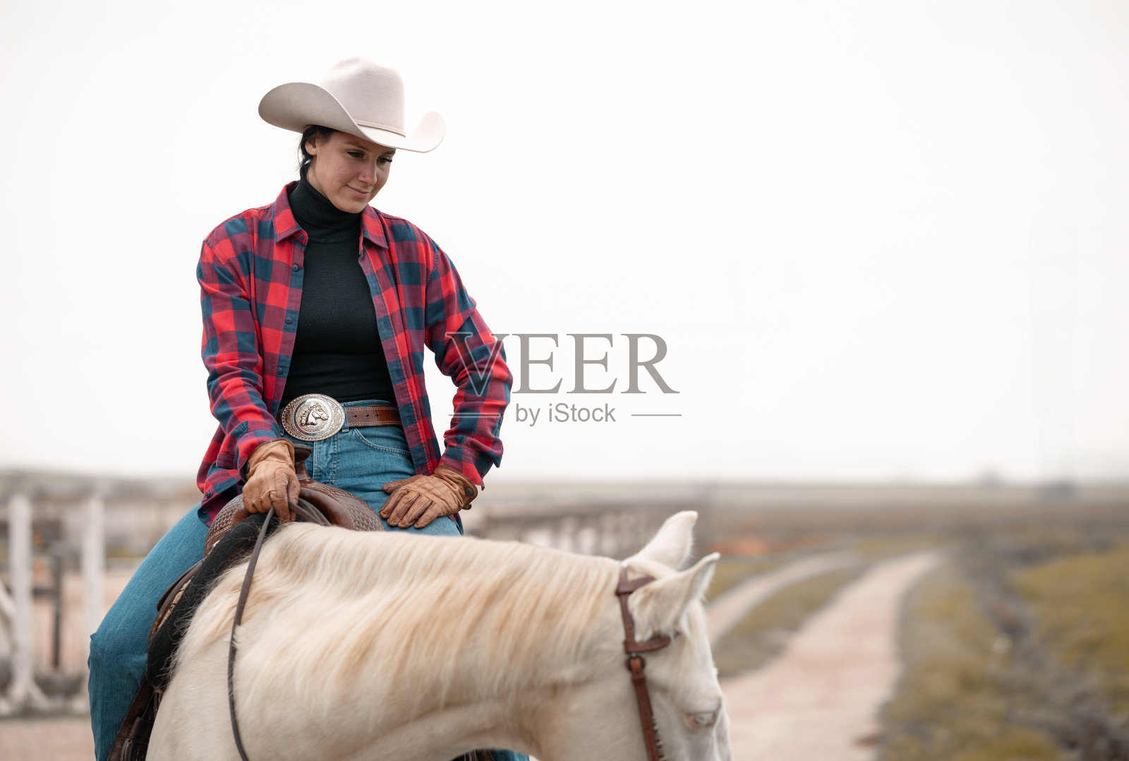 骑马的女性西方骑手与马匹照片摄影图片