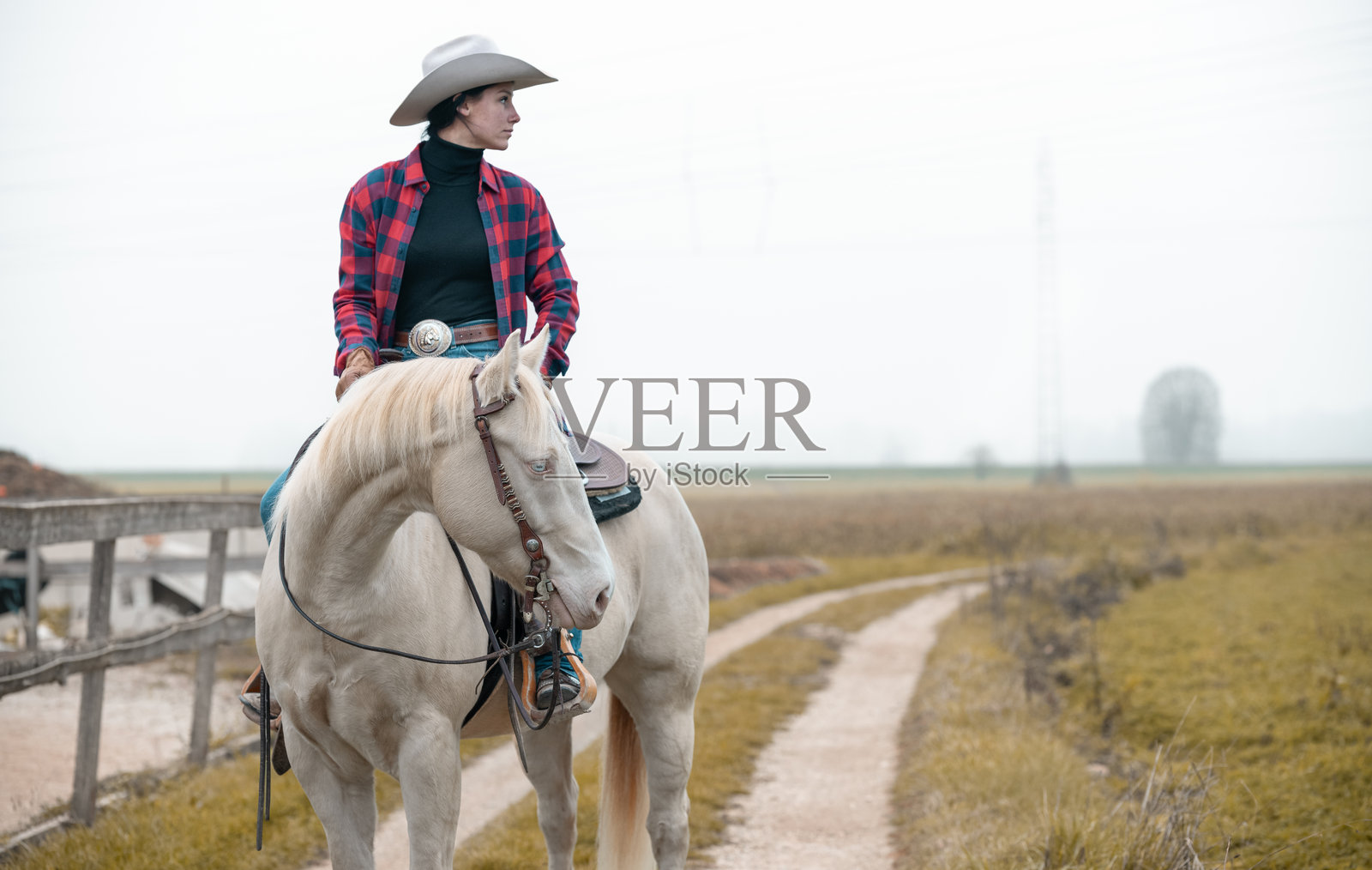 骑马的女性西方骑手与马匹照片摄影图片