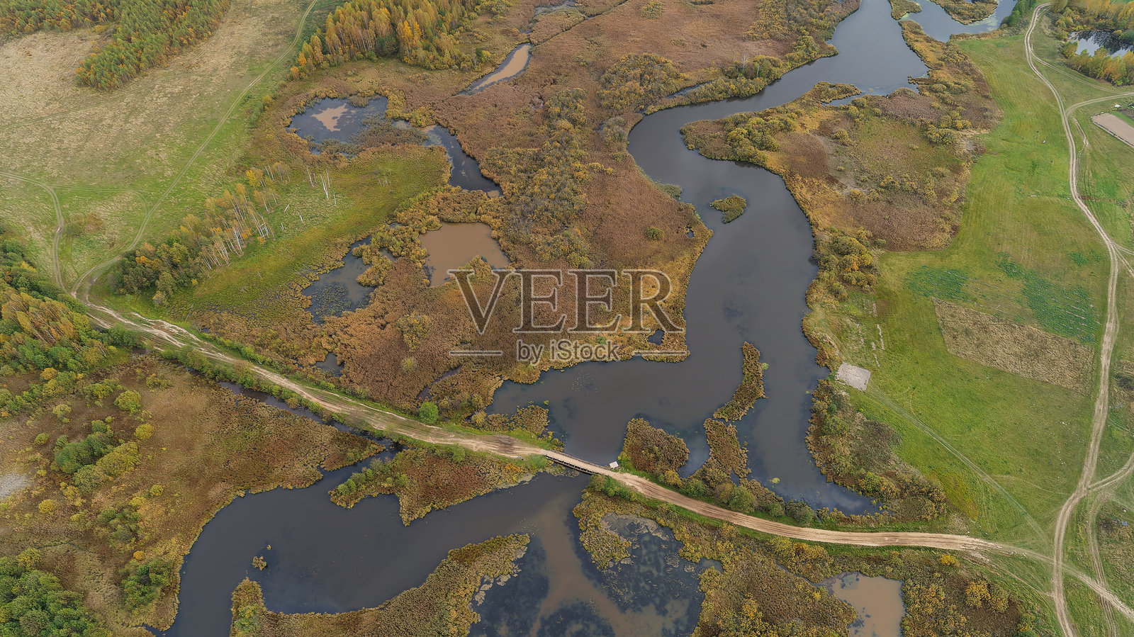 湿地区域中有一条道路穿过照片摄影图片