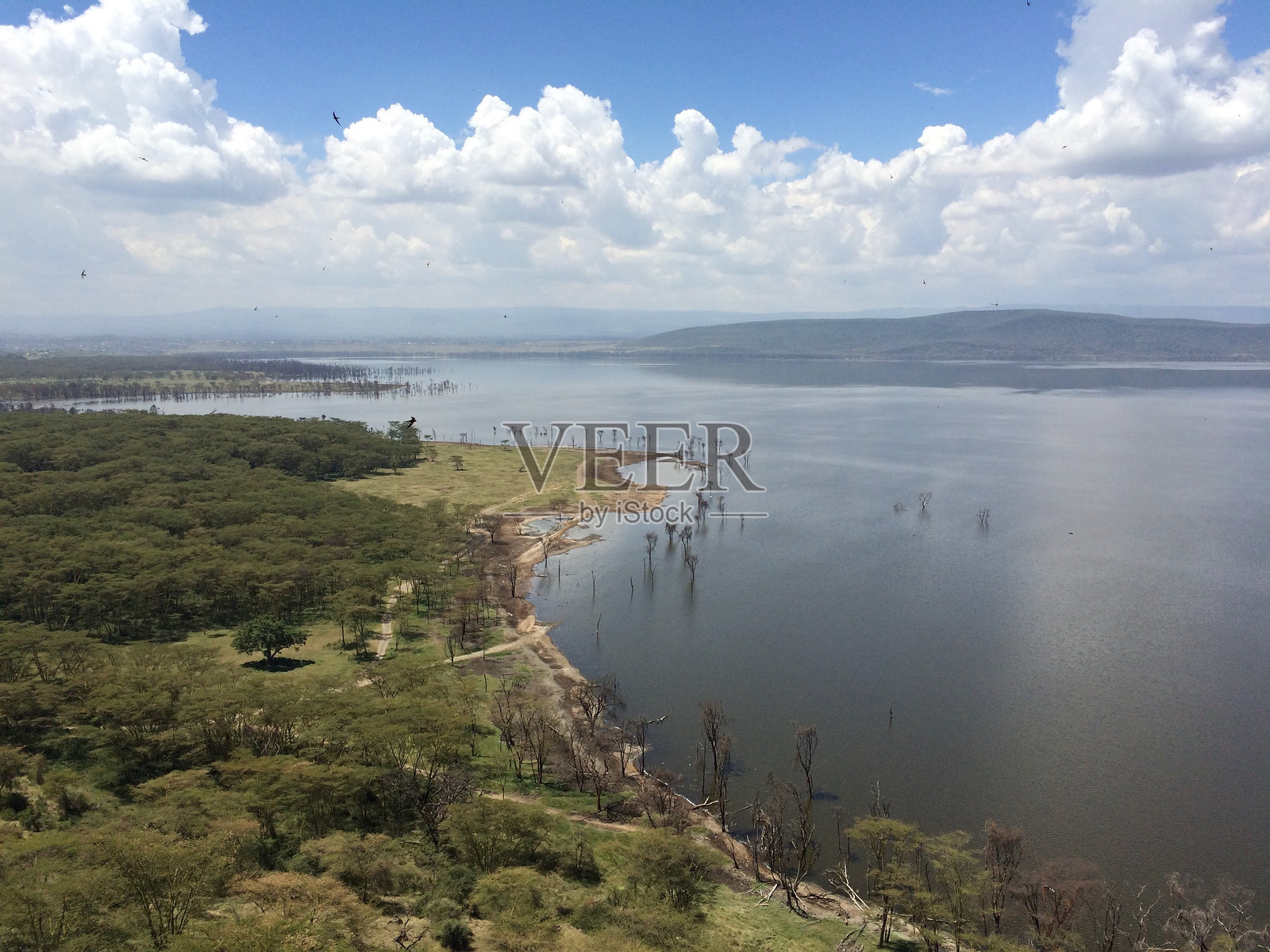 肯尼亚纳库鲁国家公园湖边景观照片摄影图片