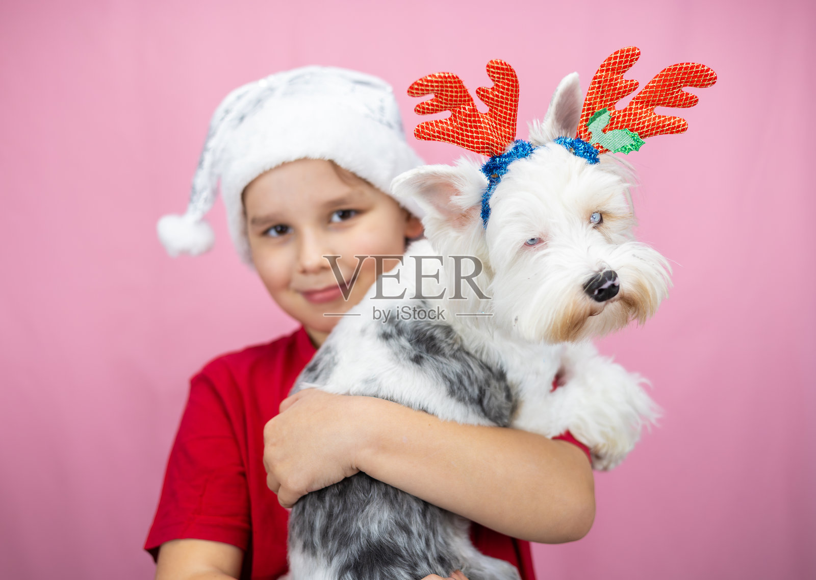快乐的小男孩在粉色背景下拥抱他的狗，穿着节日服装，展现出圣诞节的爱与喜悦。孩子温柔地拥抱着他的狗，背景为粉色。孩子和他的狗都穿着圣诞服装。照片摄影图片