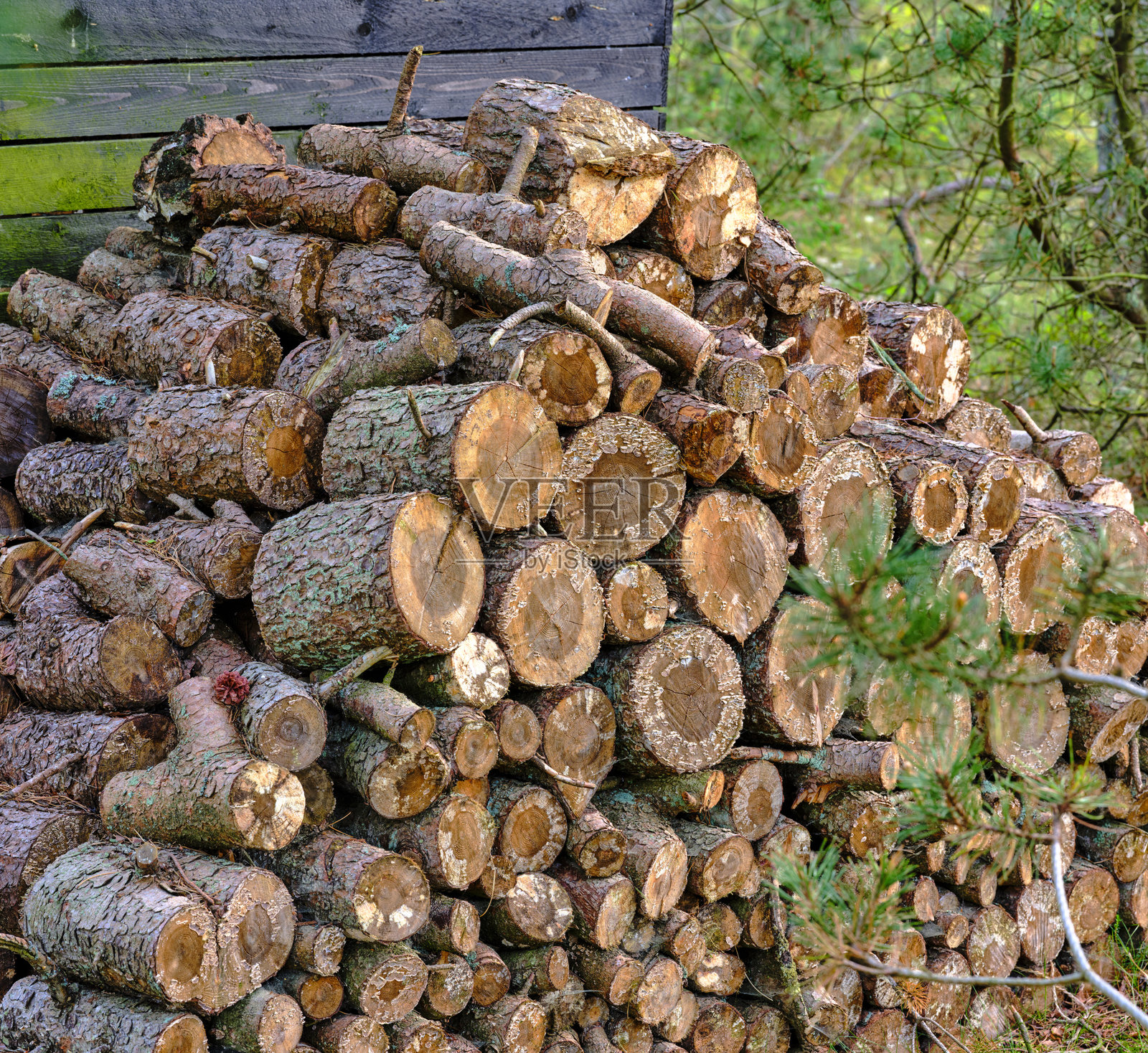 前面的柴火棚和柴火照片摄影图片