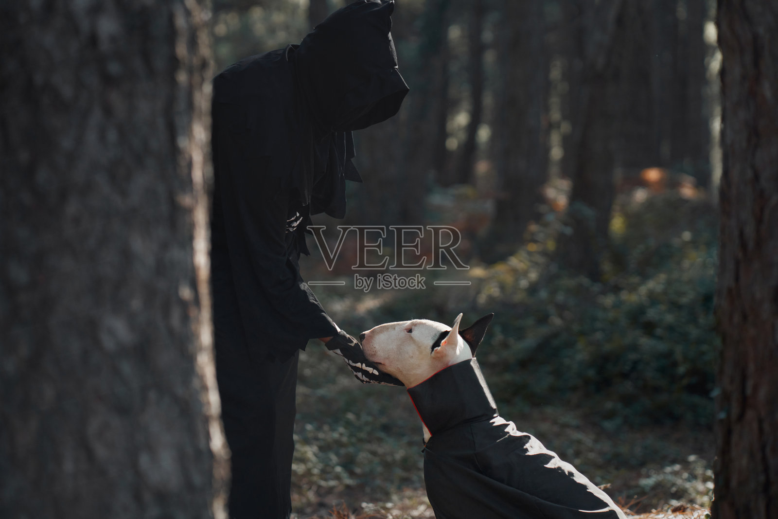 在森林中抱着斗牛犬的人，穿着万圣节服装照片摄影图片