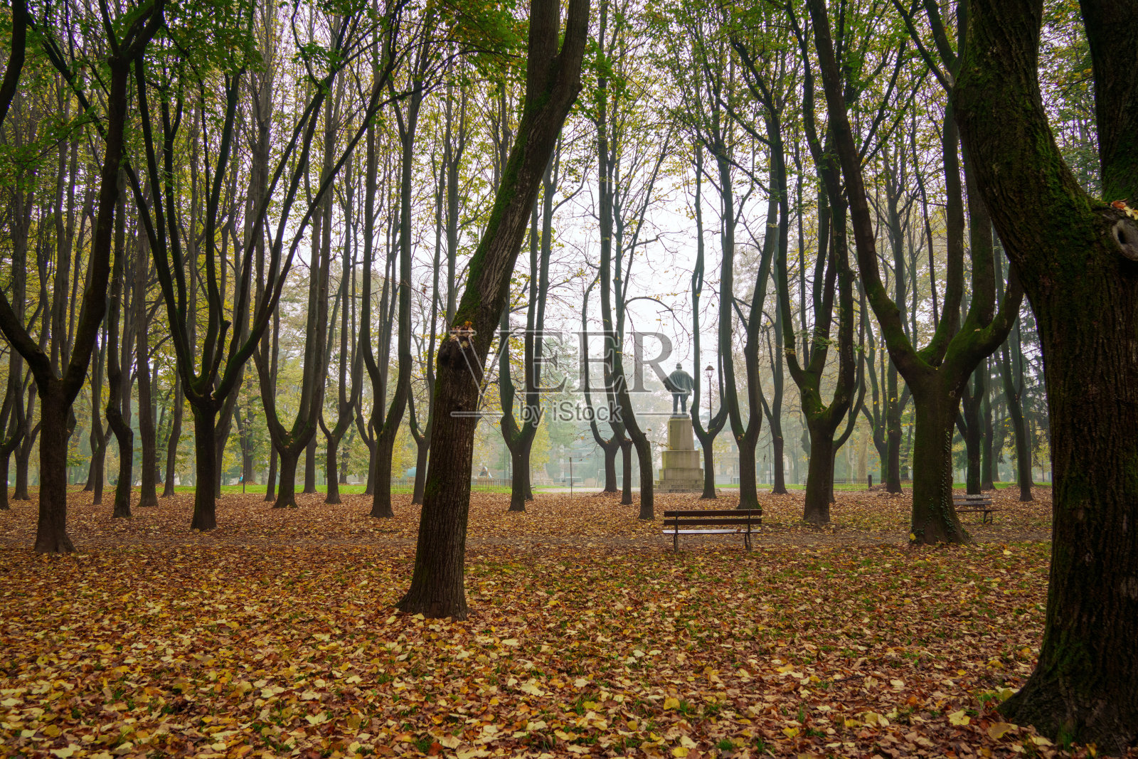 意大利蒙扎：十一月时在玛格丽塔女王大道旁的公共公园照片摄影图片