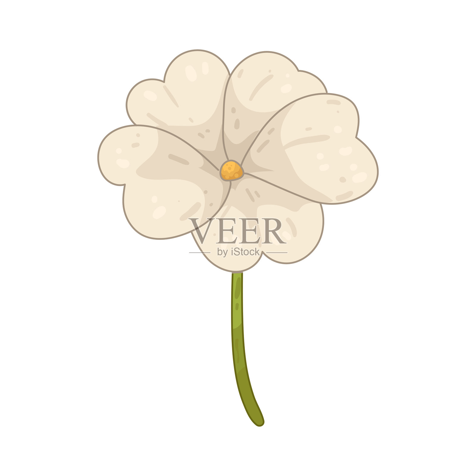 白色天竺葵插画图片素材