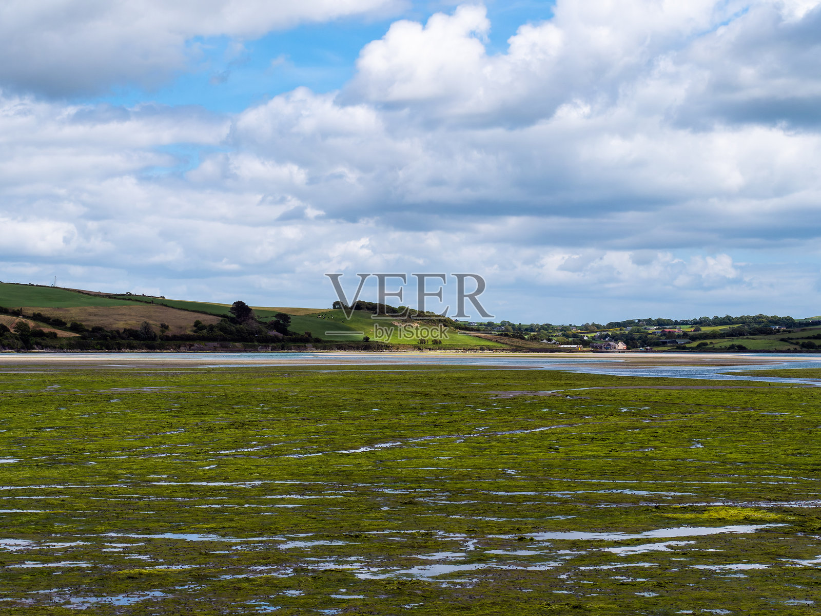 退潮后的海底，沼泽地区。绿色丘陵风景。白云。科克郡的海岸。照片摄影图片