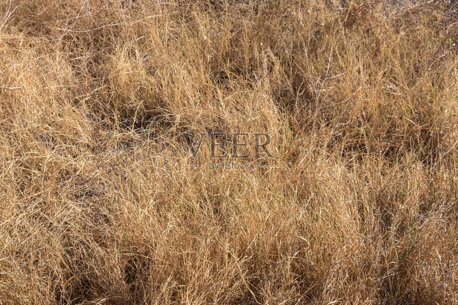 夏季乡村的干草照片摄影图片