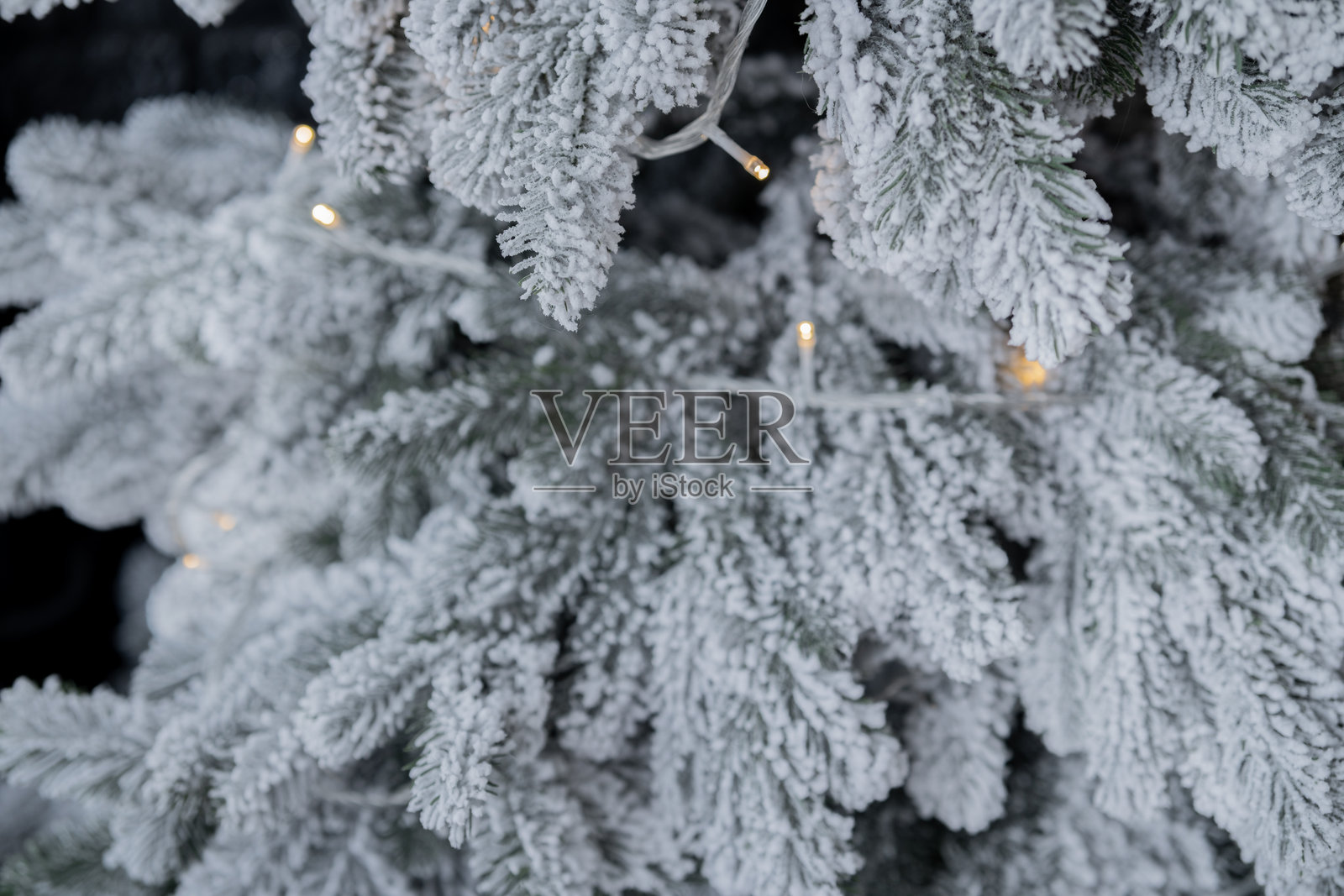 冰霜覆盖的冬季树枝上装饰着柔和的灯光，营造出温馨的氛围照片摄影图片