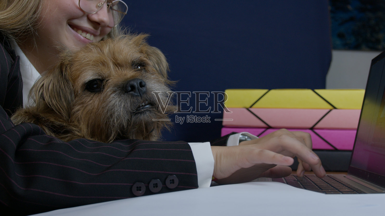 年轻的白人女性抱着一只狗，在家用笔记本电脑工作。远程上课或工作。照片摄影图片