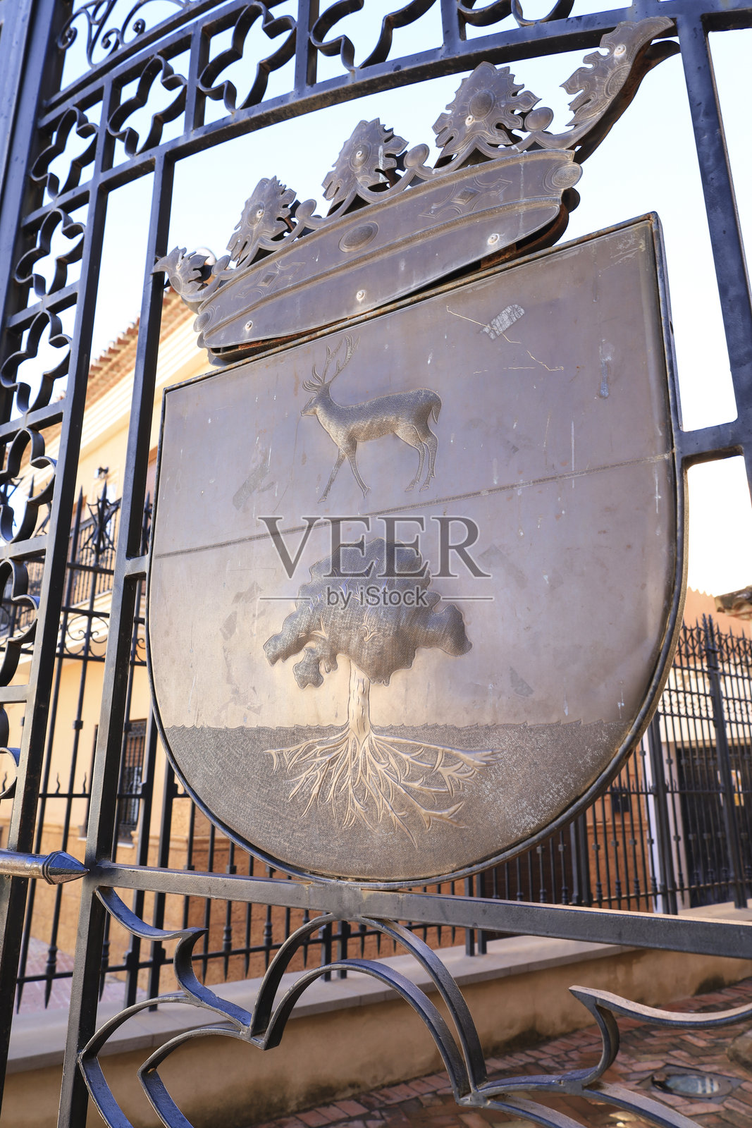 安娜镇（瓦伦西亚）塞尔维隆伯爵城堡宫殿的纹章照片摄影图片