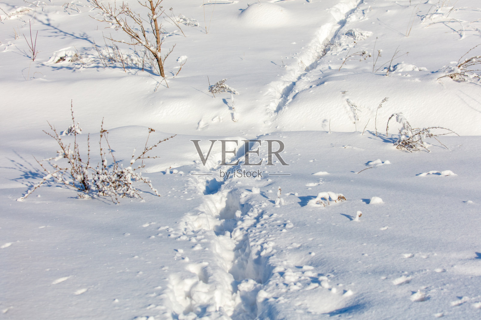 一片被雪覆盖的田野中有一条小路穿过。照片摄影图片