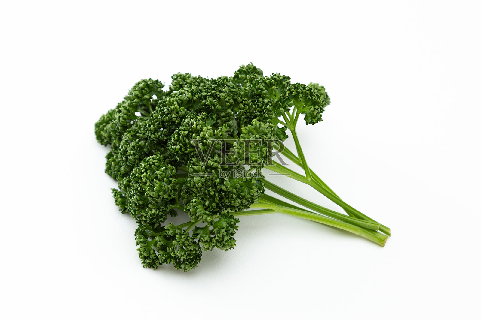 白底日本欧芹。照片摄影图片