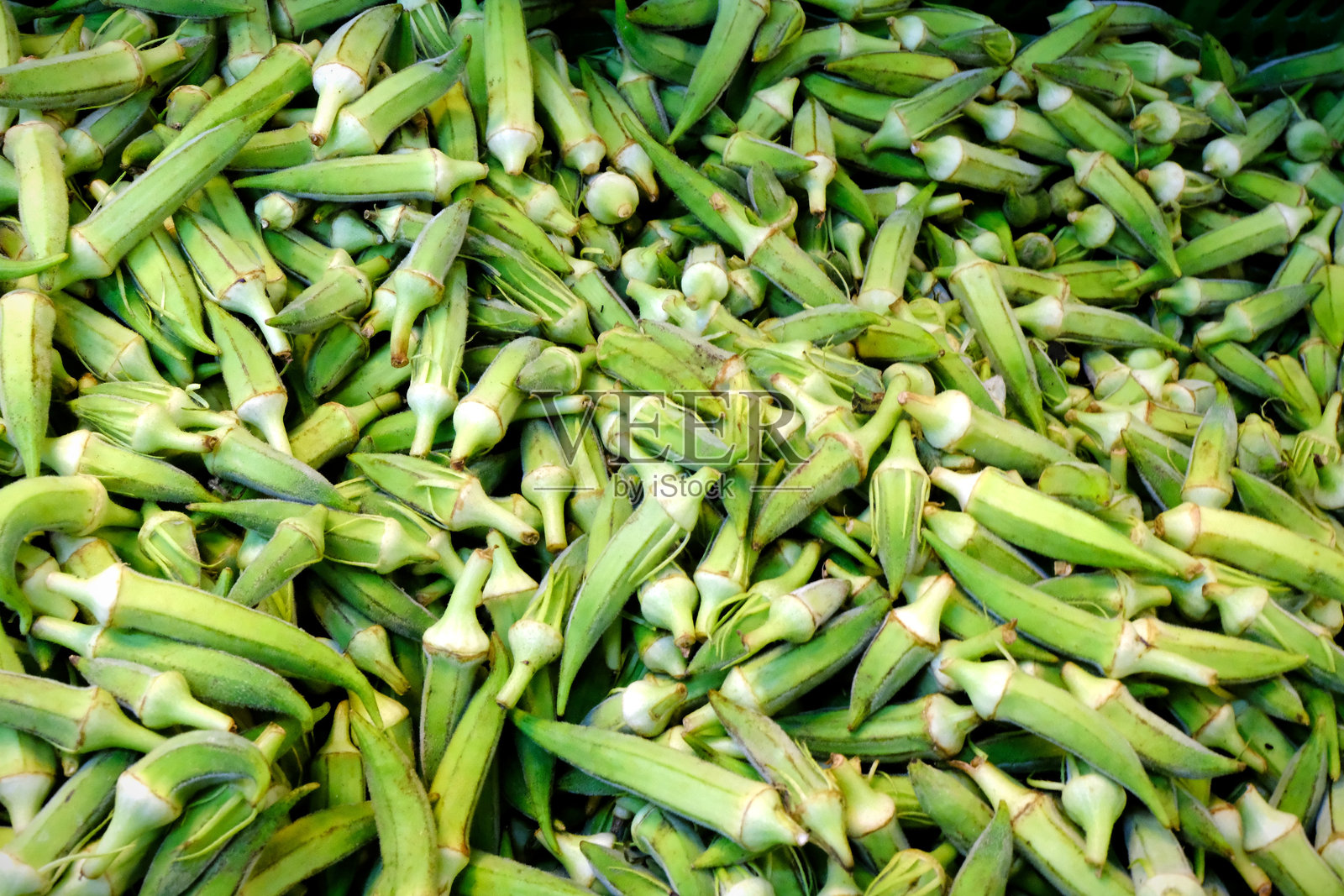 新鲜健康的秋葵来自夏季蔬菜照片摄影图片