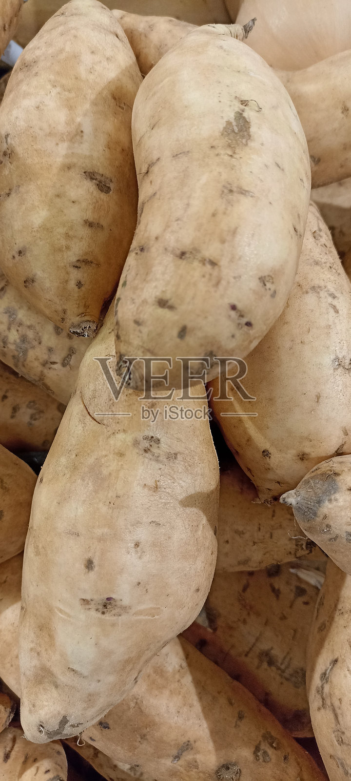 新鲜状态的红薯照片摄影图片