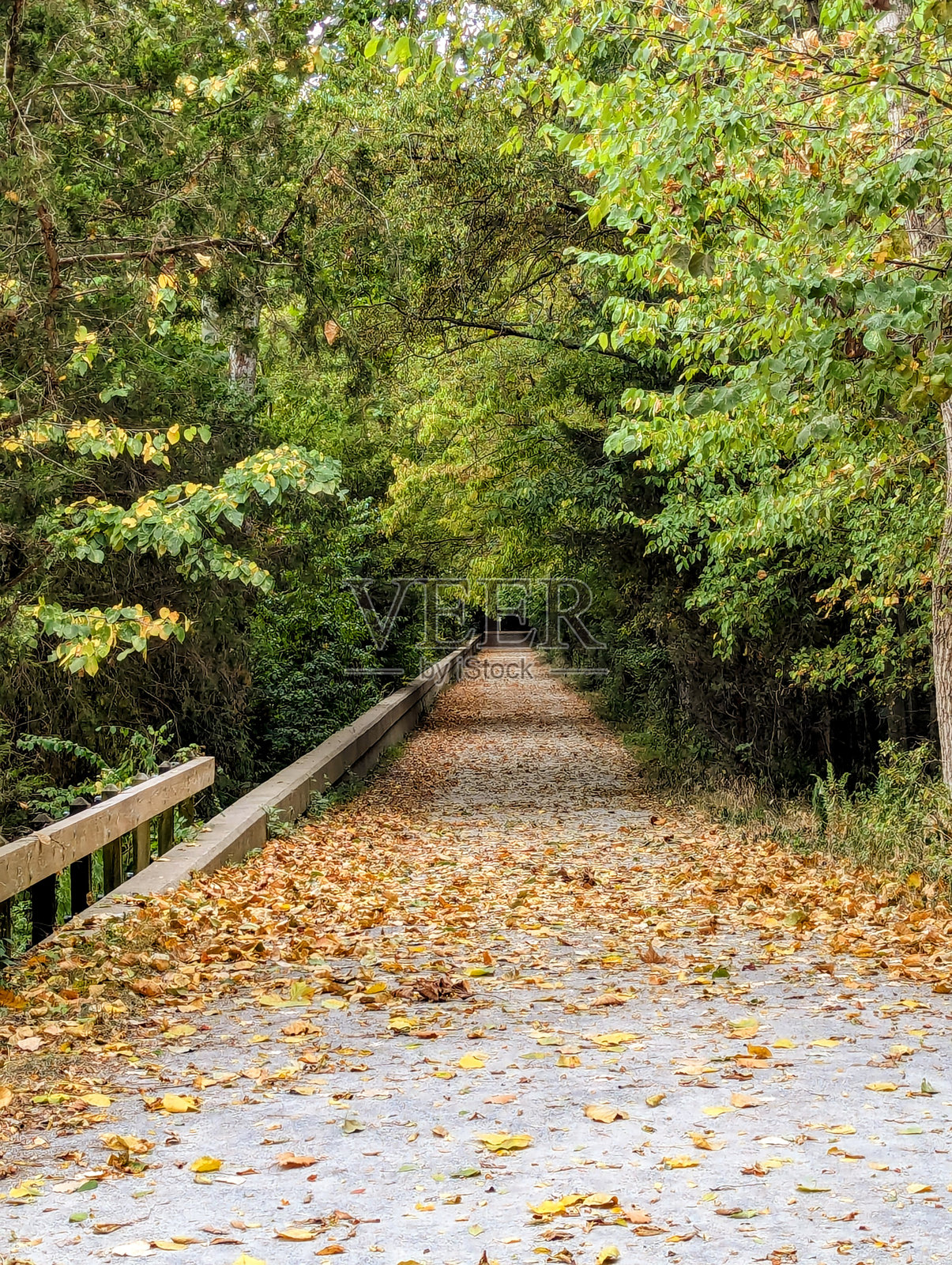 秋天的拉德诺湖，俯瞰小径照片摄影图片