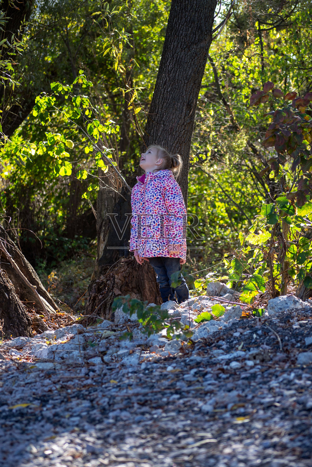 小女孩在秋天的森林里玩耍照片摄影图片