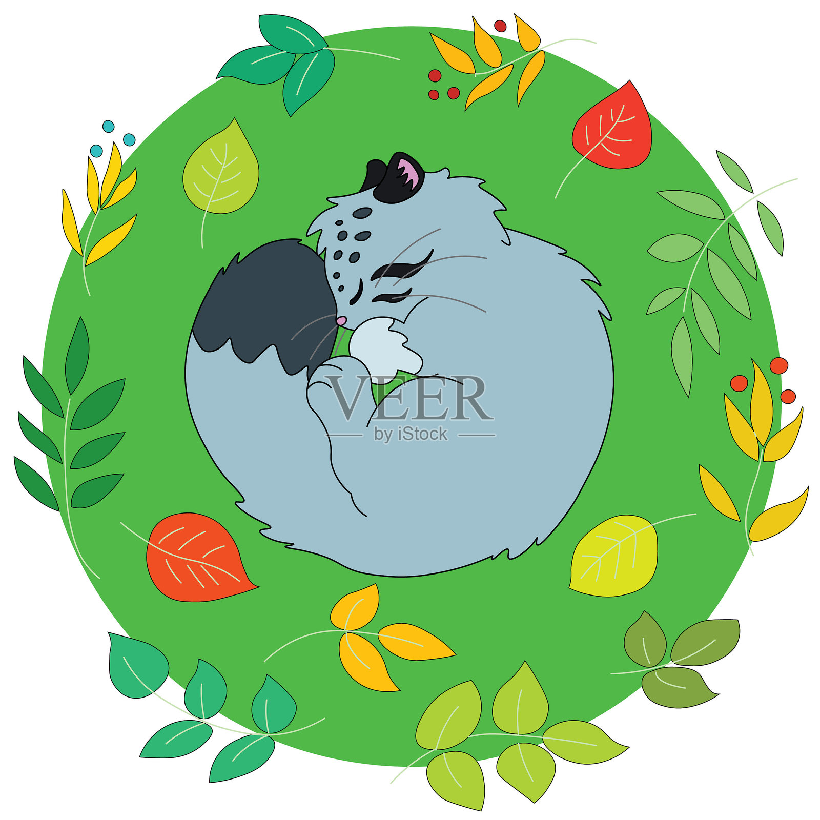 可爱的野生猫头鹰在绿草如茵、落叶满地的草地上蜷缩成一团睡觉。插画图片素材