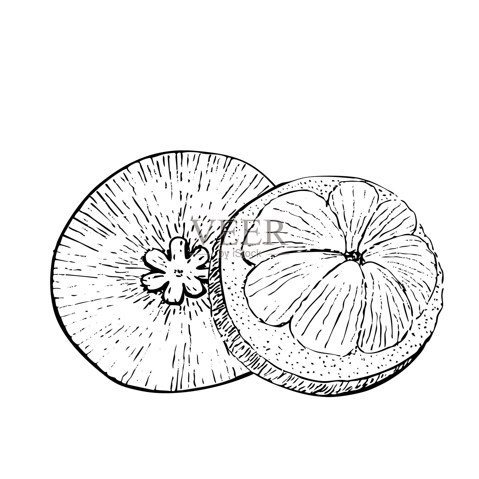 打开的山竹，内部切片，墨水图形矢量构图，孤立在白色背景上。插画图片素材