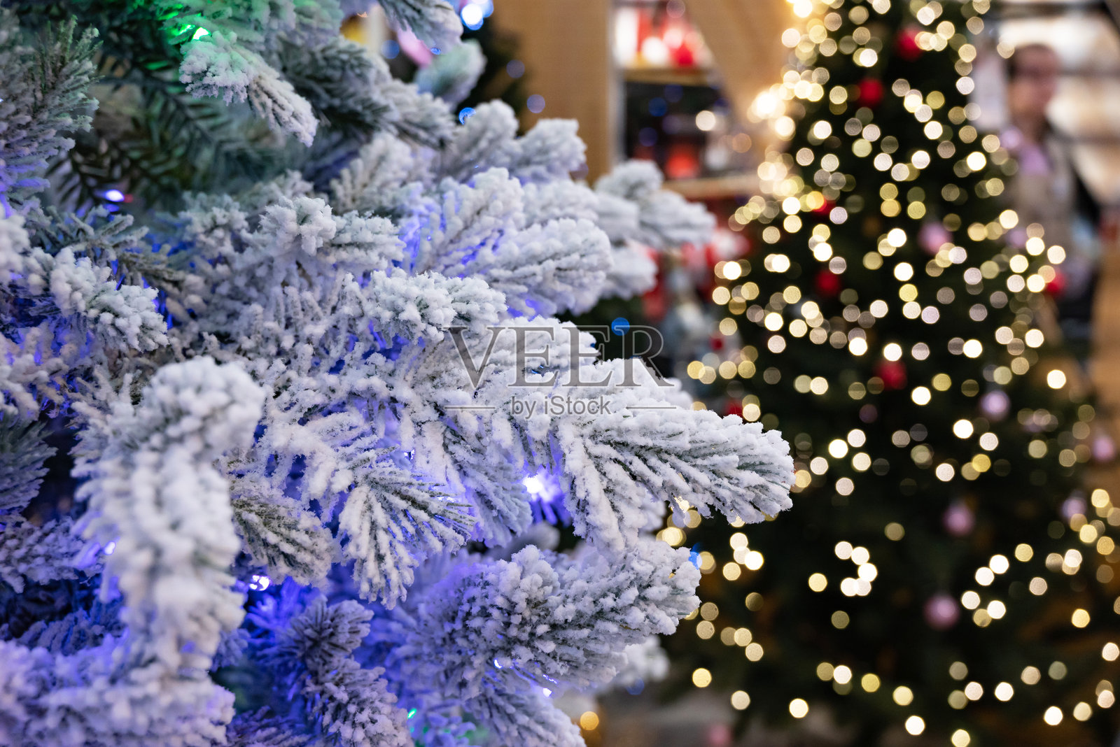 触摸雪白的圣诞树枝，闪烁着五彩灯光。照片摄影图片