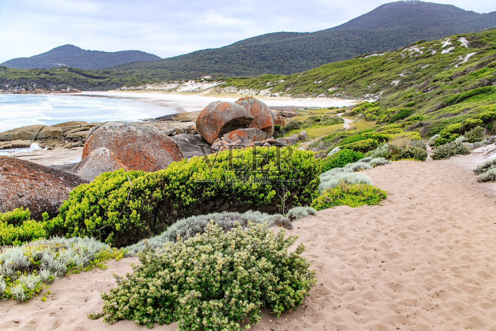 澳大利亚威尔逊岬的海岸风景，沙滩小径、郁郁葱葱的植被和岩石 formations照片摄影图片