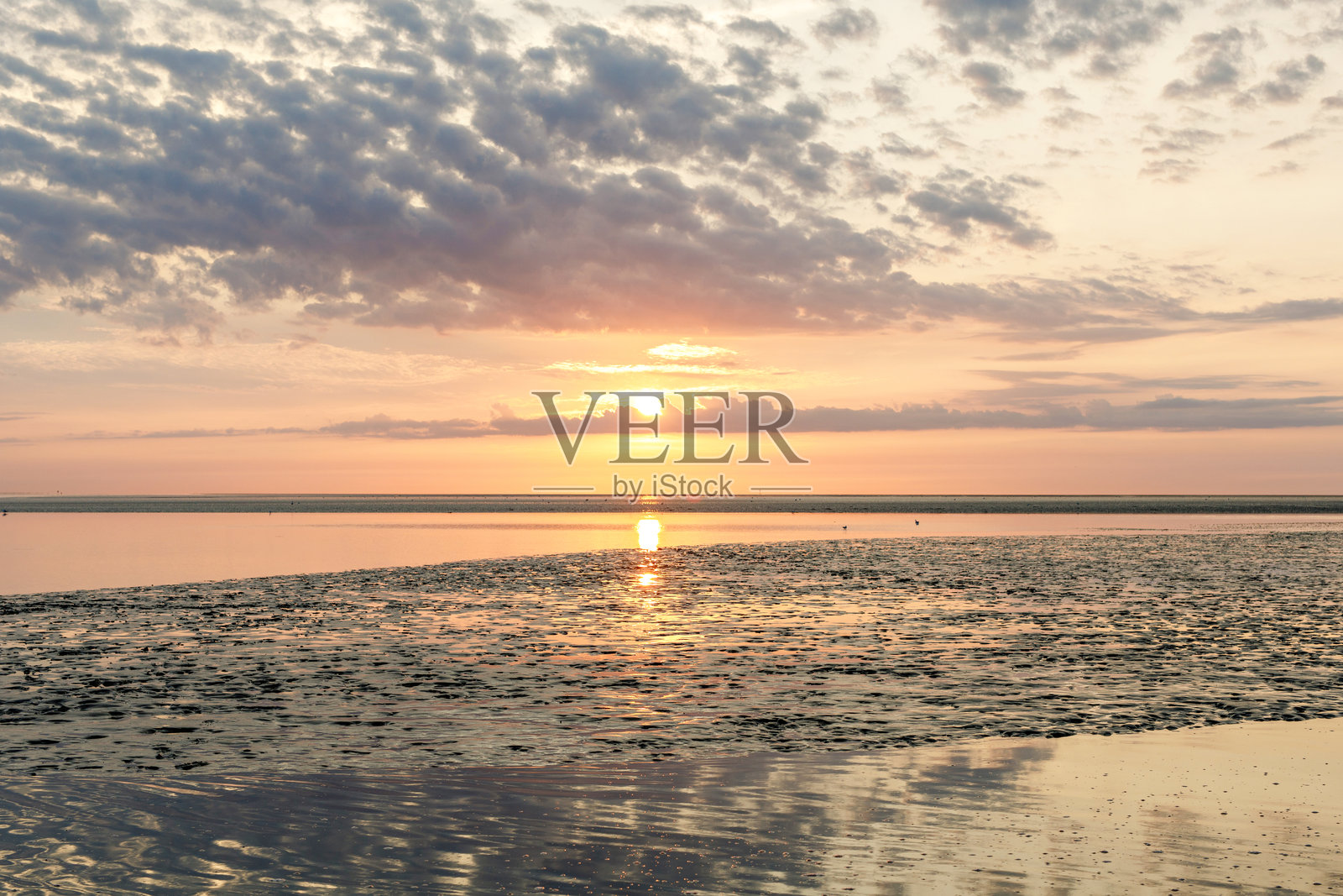 德国北海的瓦滕海，泥滩。日落时的北海潮间带。照片摄影图片