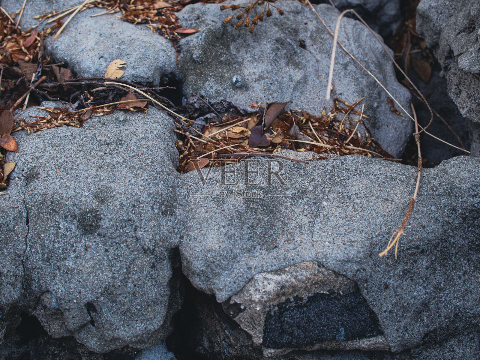 石墙特写照片摄影图片