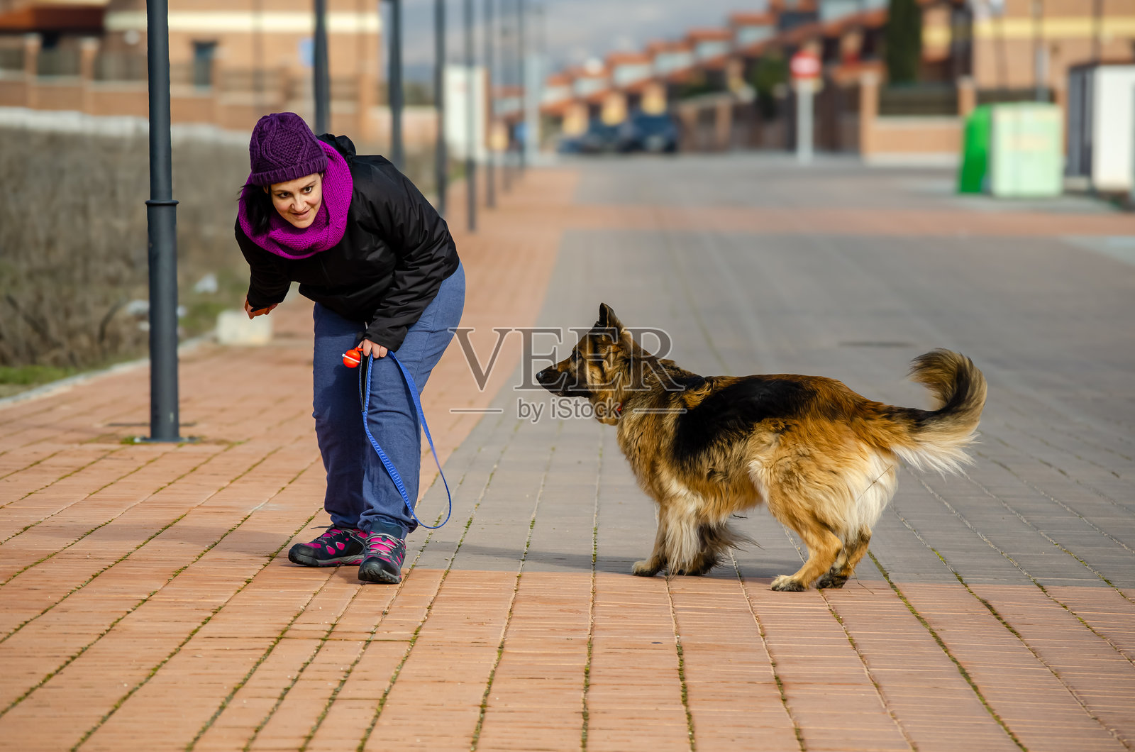 年轻女性在户外与德国牧羊犬玩耍和锻炼，使用球。照片摄影图片