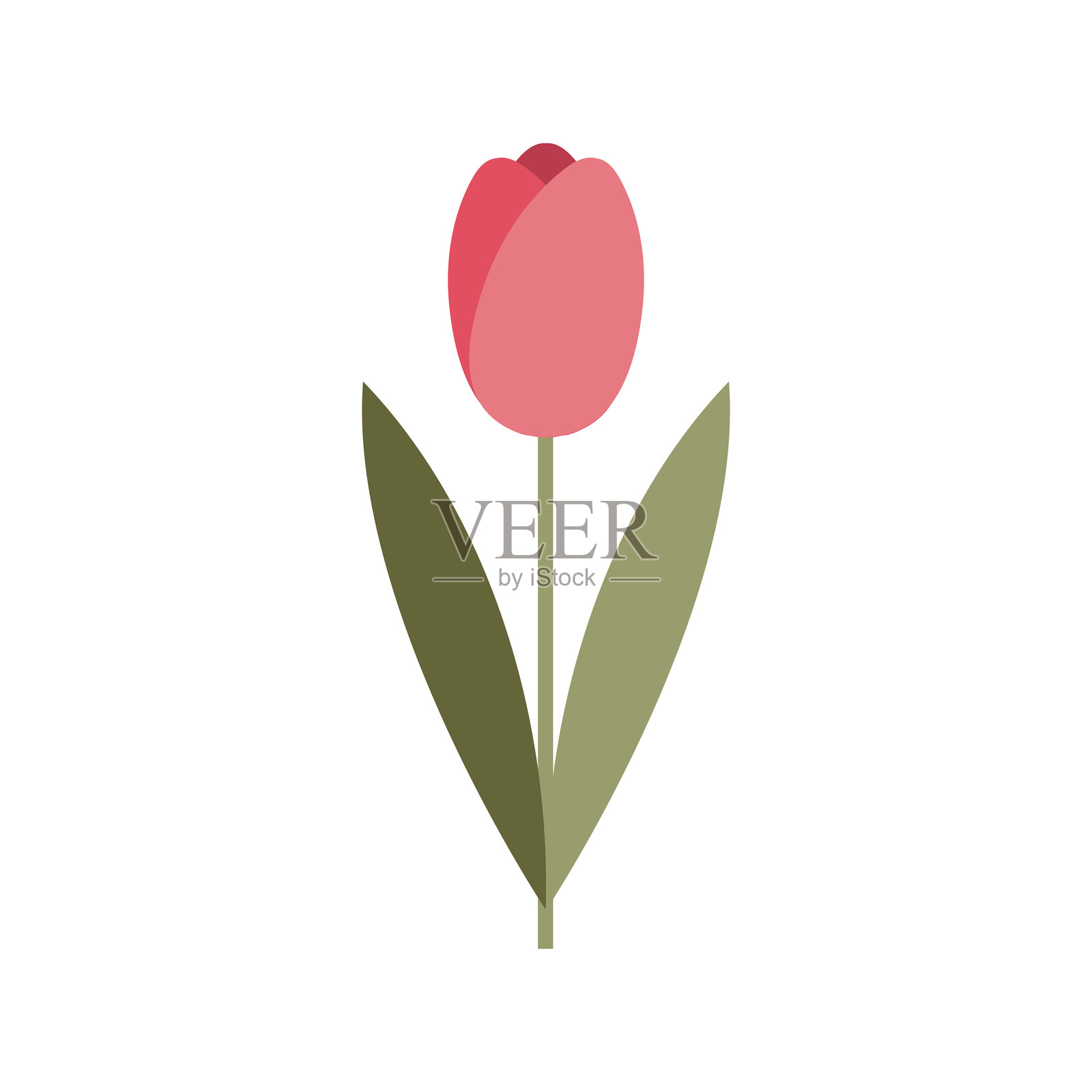 郁金香花朵与叶子的图标。带有红色花瓣的植物符号。矢量插图。插画图片素材