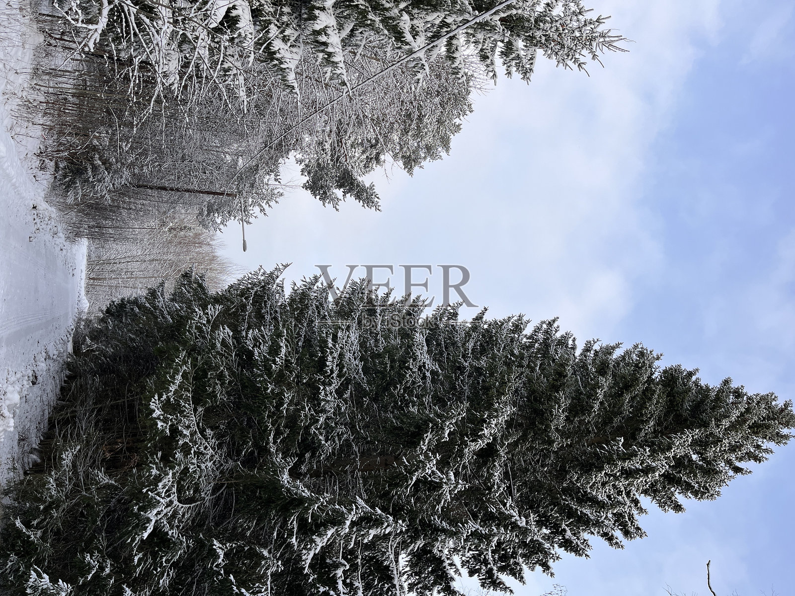 芬兰冬季乡村风景照片摄影图片