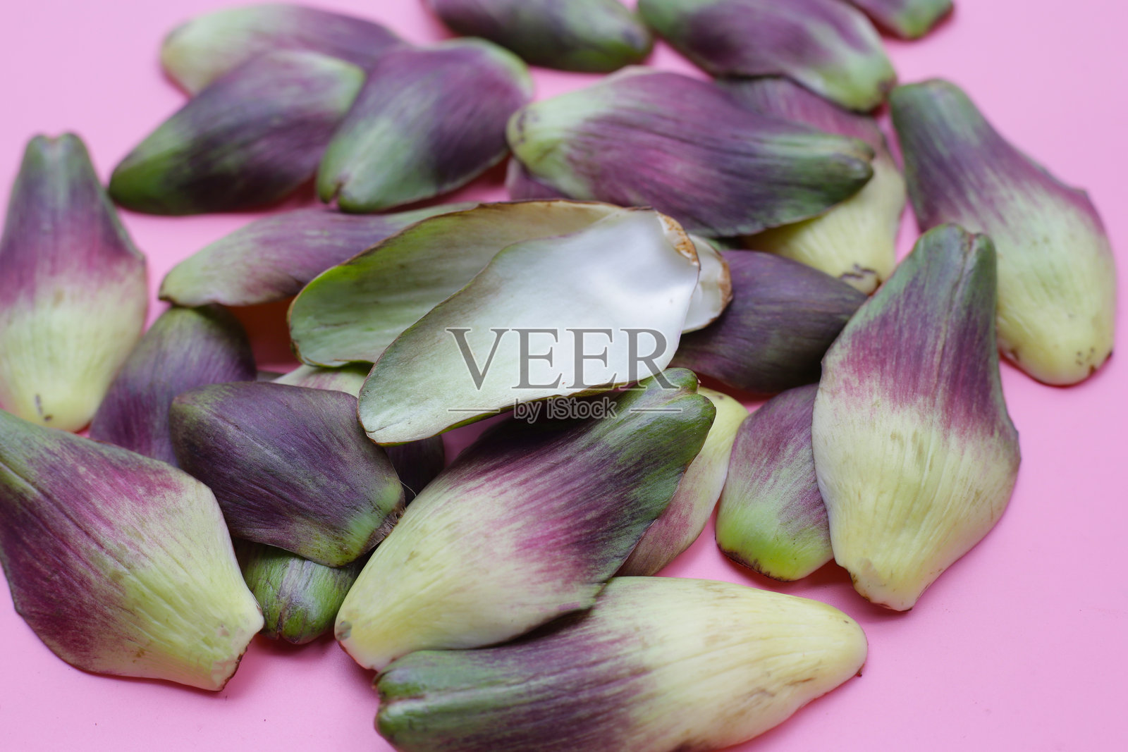 新鲜的绿色紫色朝鲜蓟花瓣照片摄影图片