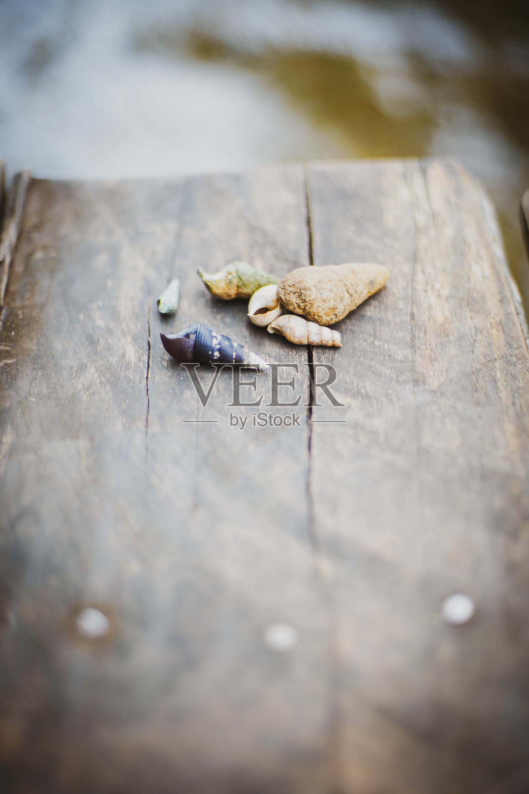 木地板上的贝壳，带有戏剧性的色调照片摄影图片