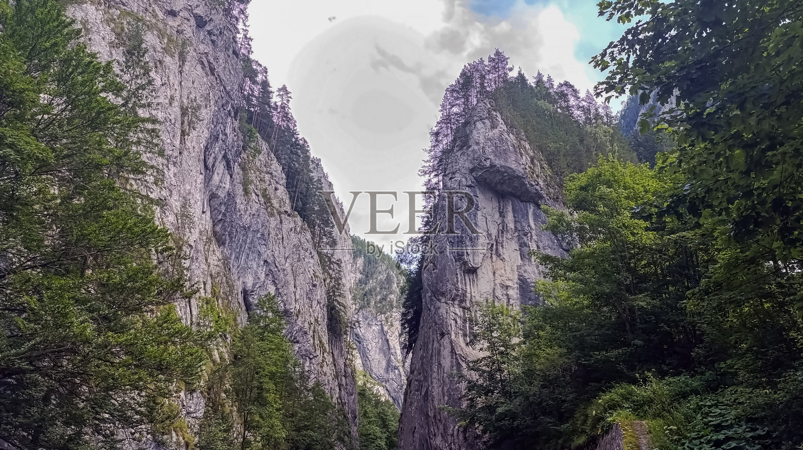 风景 - 森林 - 欧洲，罗马尼亚，苏恰瓦地区照片摄影图片