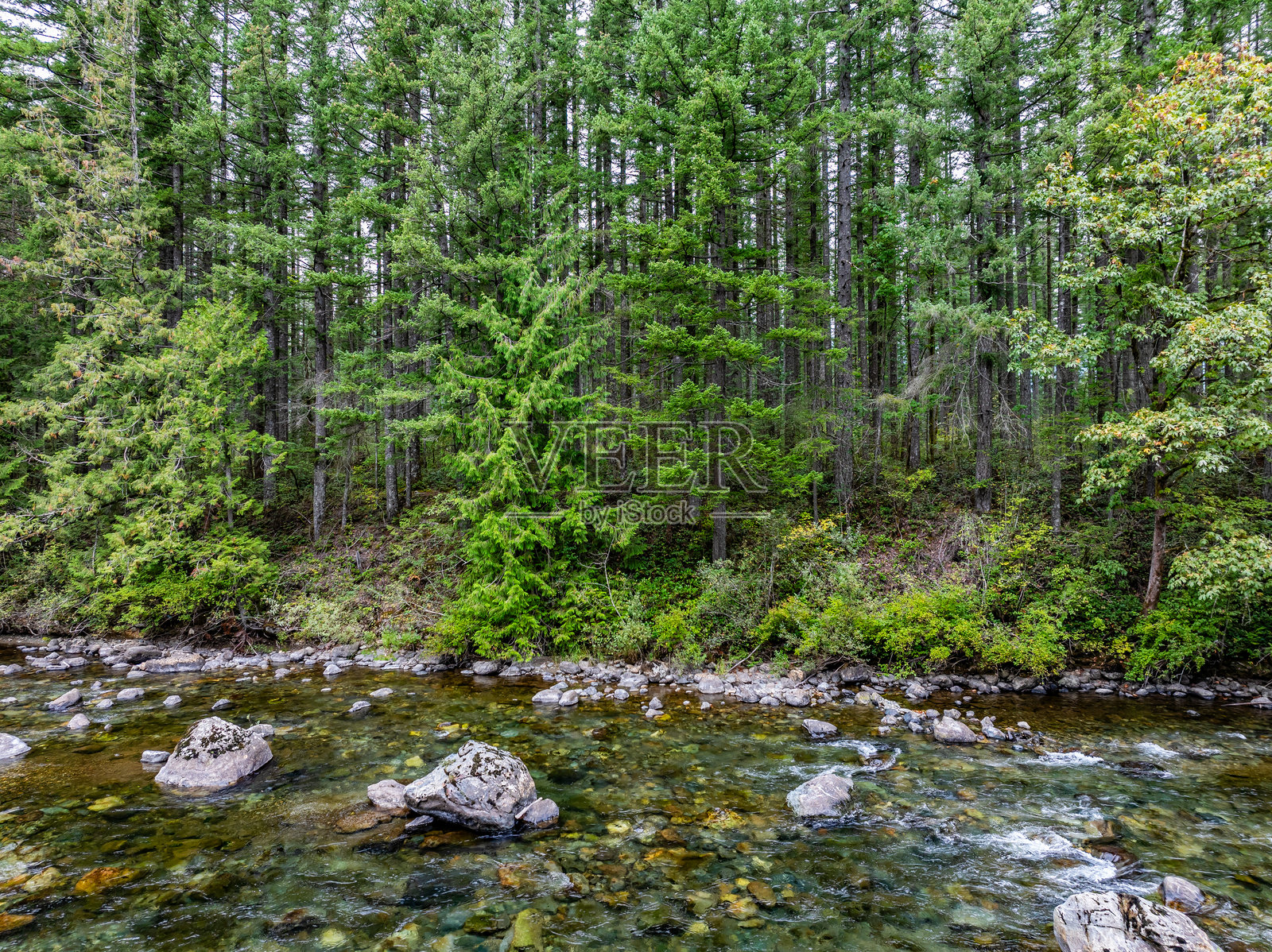 北弯河的无人机视角照片摄影图片