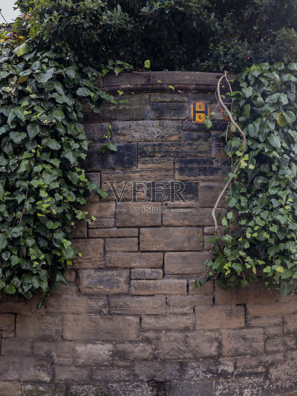 爱丁堡，苏格兰，联合王国照片摄影图片